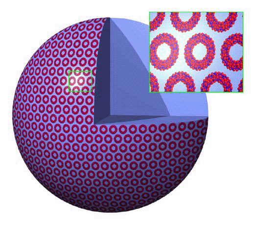 Fig.5