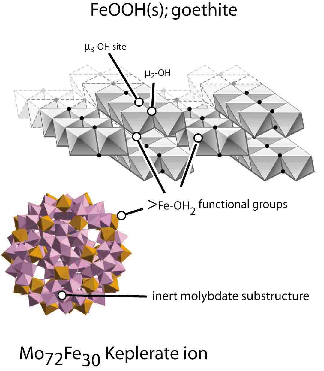 W. H. Casey et al.