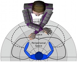 C1 diagram