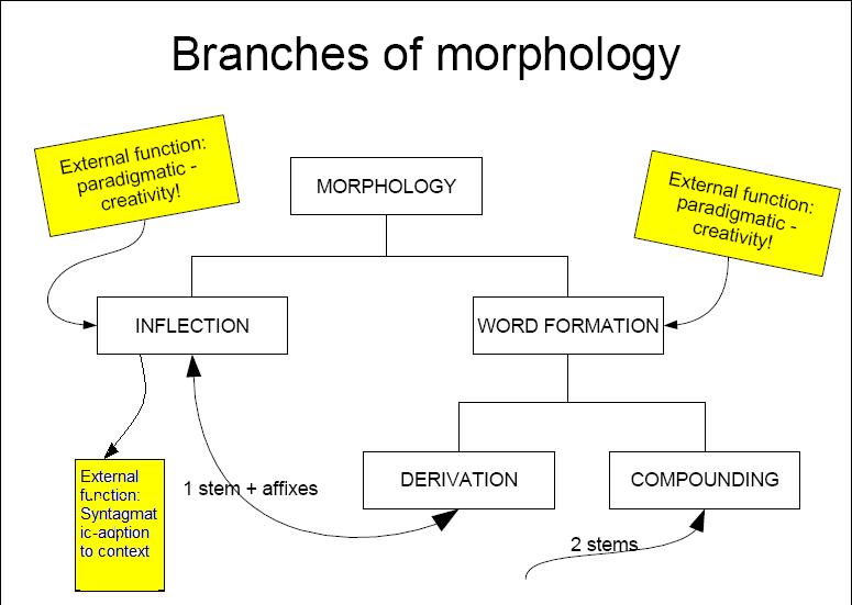 how-to-make-a-dictionary-word-formation