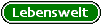 Zum lebensweltlichen Zusammenhang
