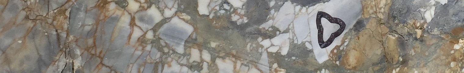 fabrizioprevedello.com